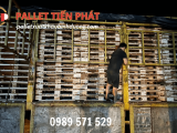 Nhà cung cấp và phân phối pallet gỗ cao cấp giá rẻ khu vực Bình Phước